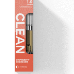 Strawberry Sherbert Disposable